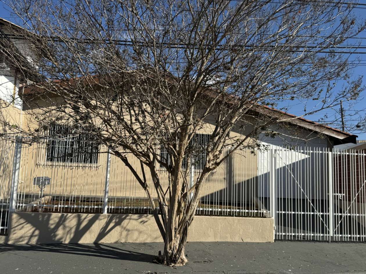 Prédio Inteiro - Foto 2