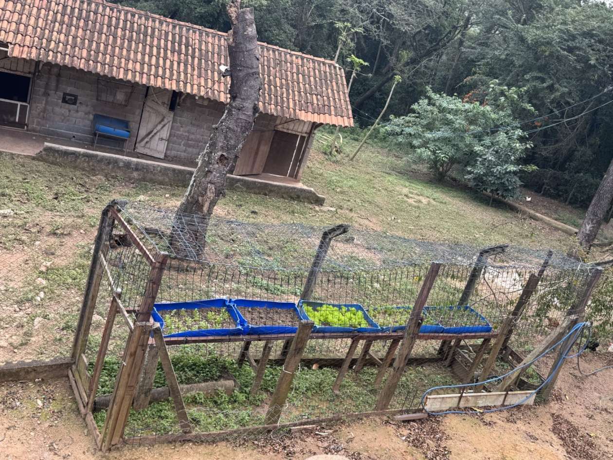 Fazenda, 8547 m² - Foto 19