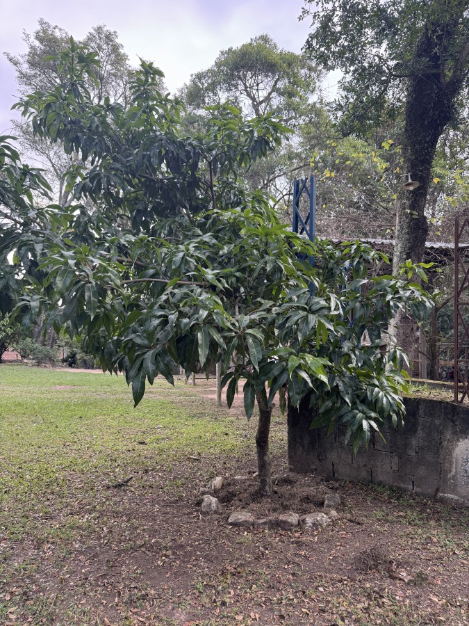 Fazenda, 8547 m² - Foto 28