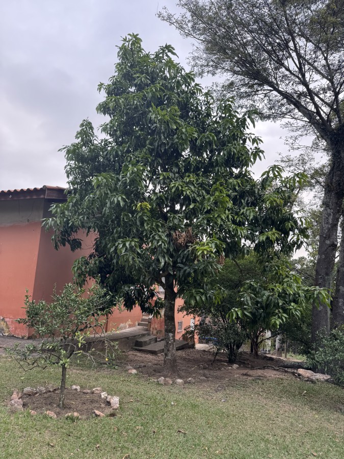 Fazenda, 8547 m² - Foto 31