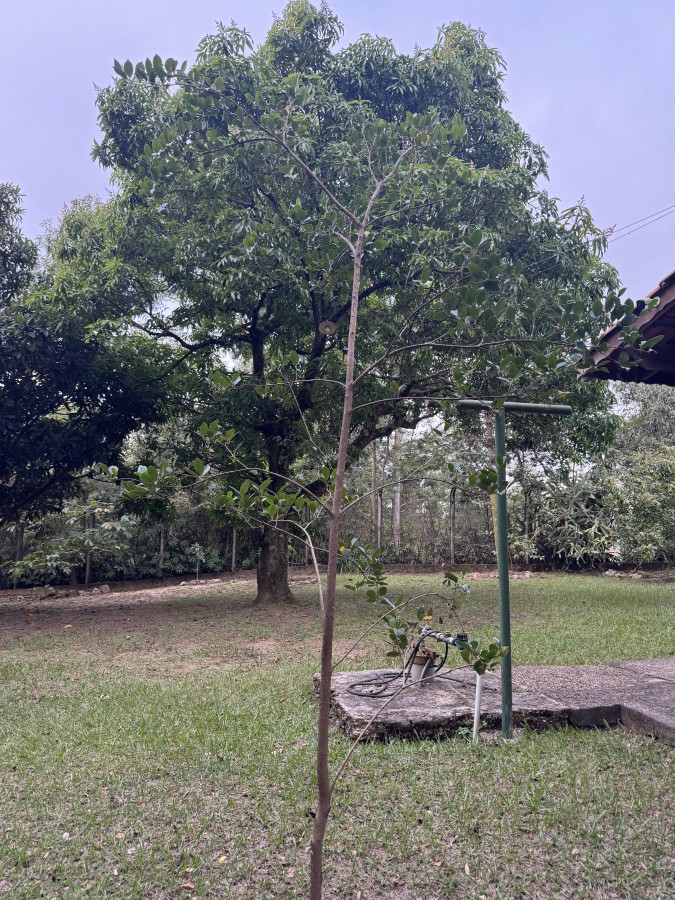 Fazenda, 8547 m² - Foto 49