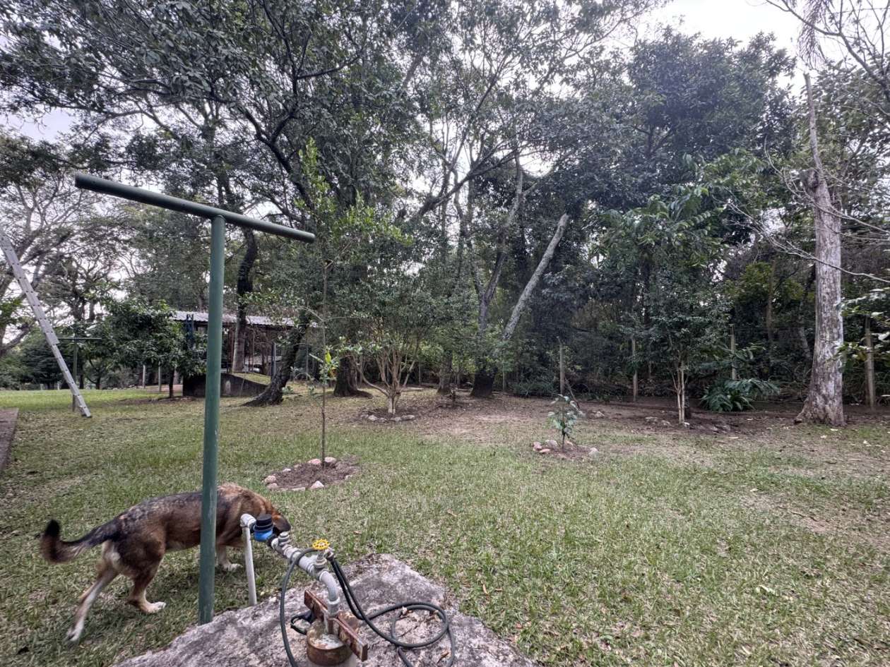Fazenda, 8547 m² - Foto 52