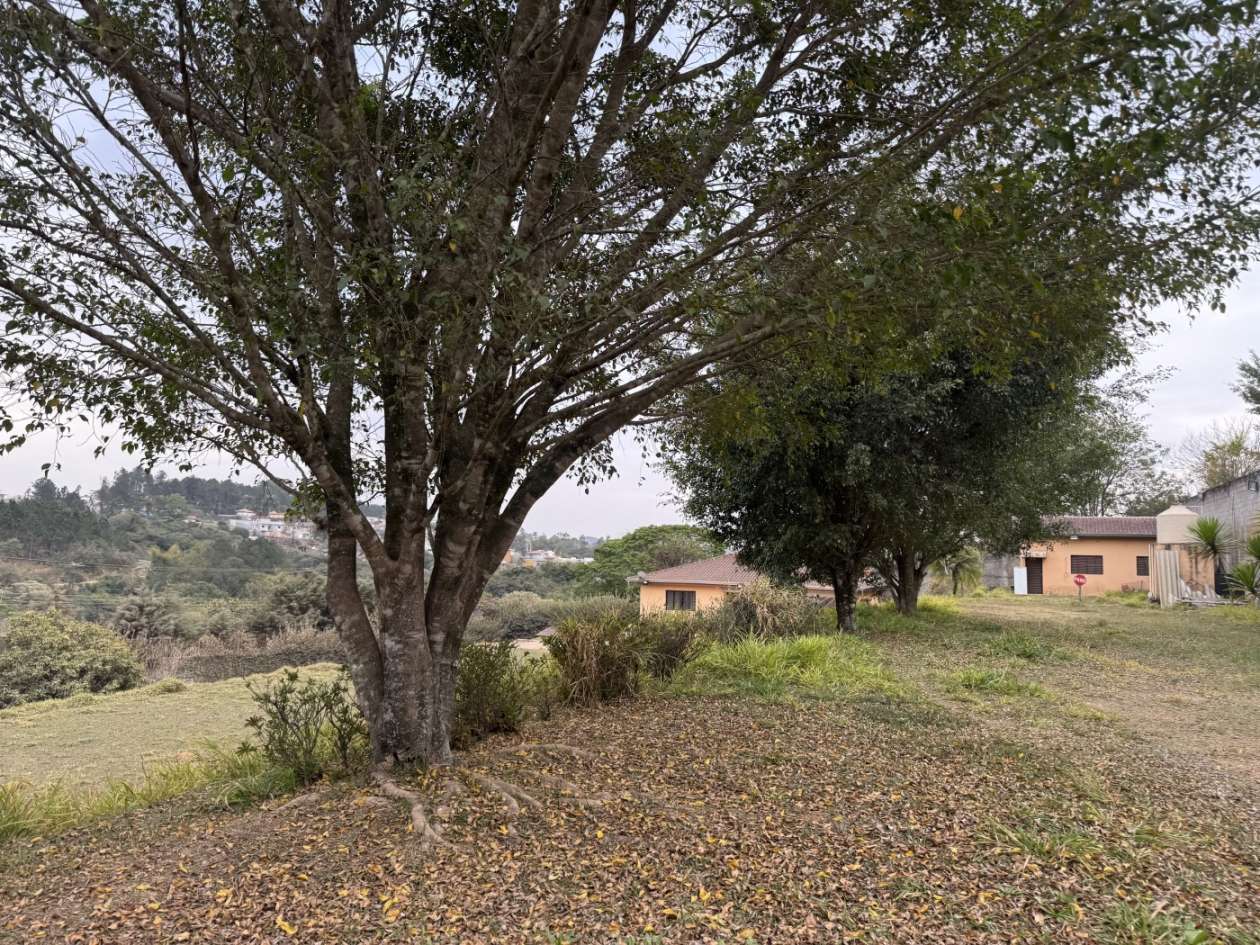 Fazenda, 2750 m² - Foto 17