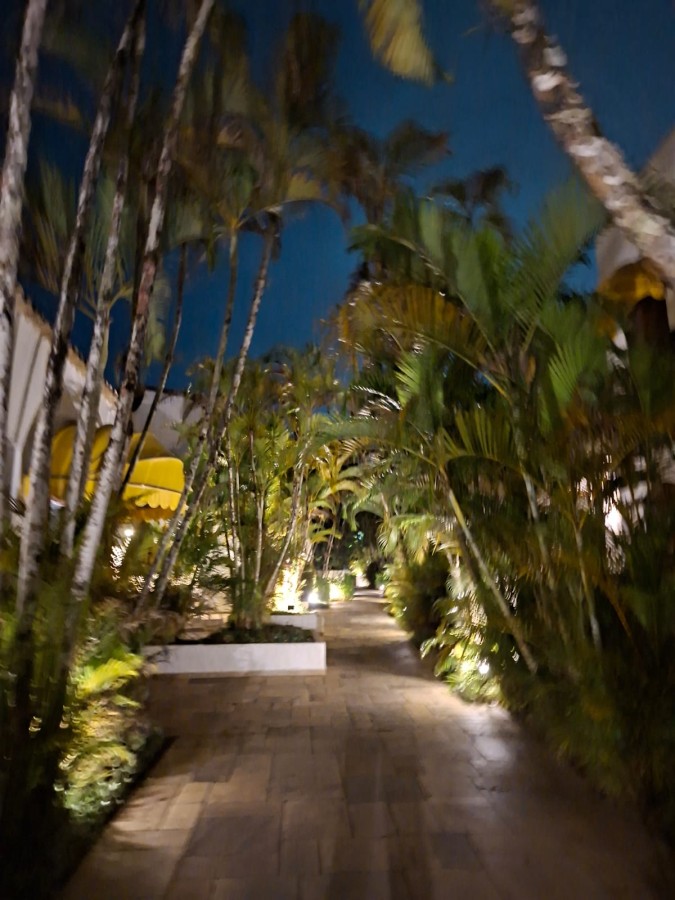 Casa, 3 quartos - Foto 28