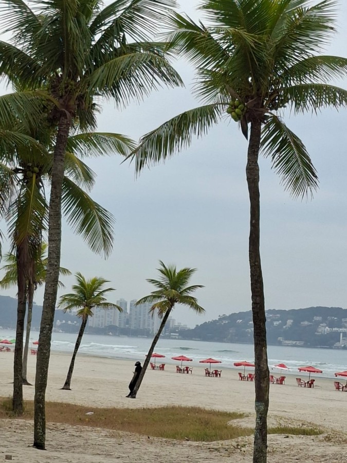 Casa, 3 quartos - Foto 38