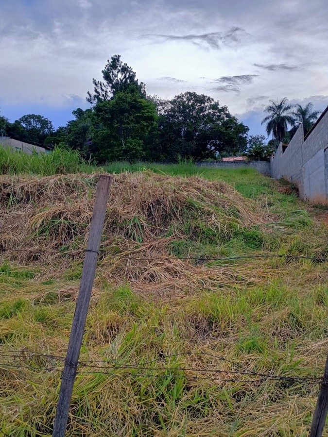 Terreno, 1000 m² - Foto 1
