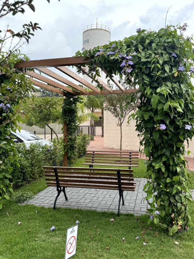 Apartamento, 2 quartos, 60 m² - Foto 51
