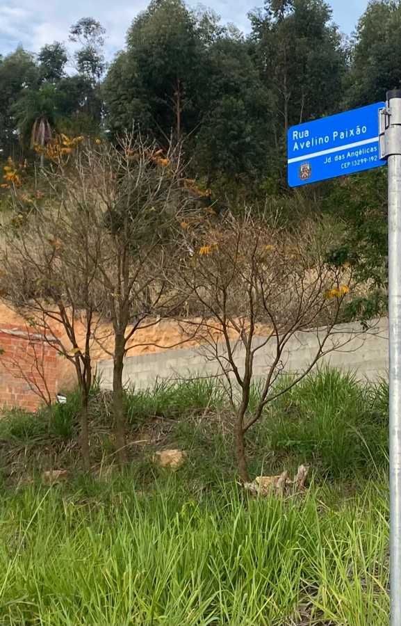 Terreno, 269 m² - Foto 5