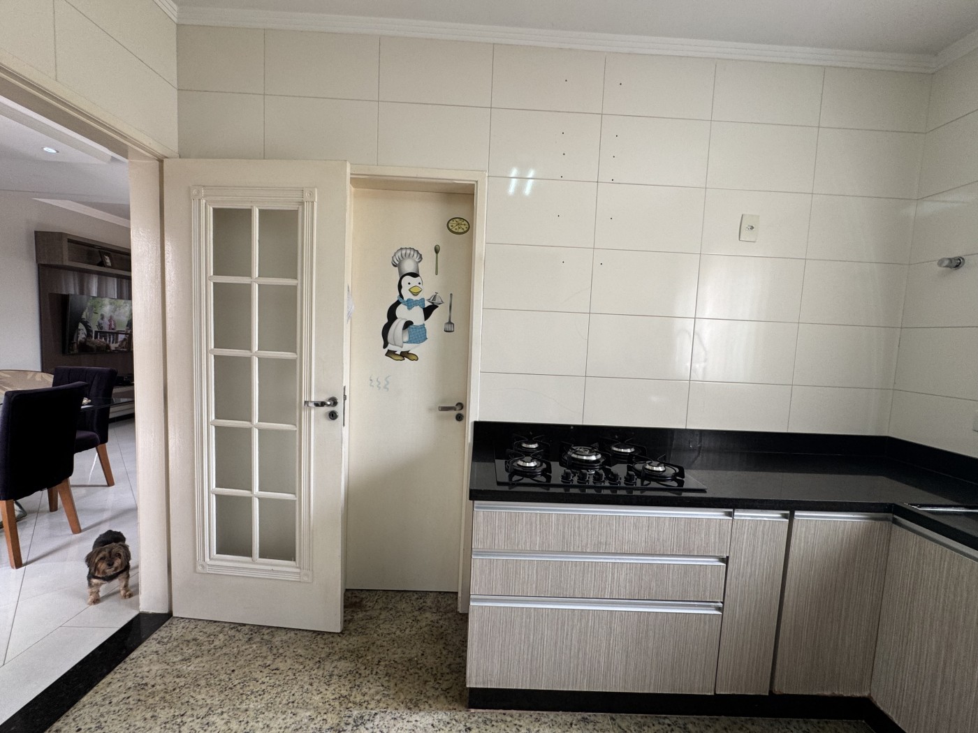 Casa, 3 quartos, 244 m² - Foto 14
