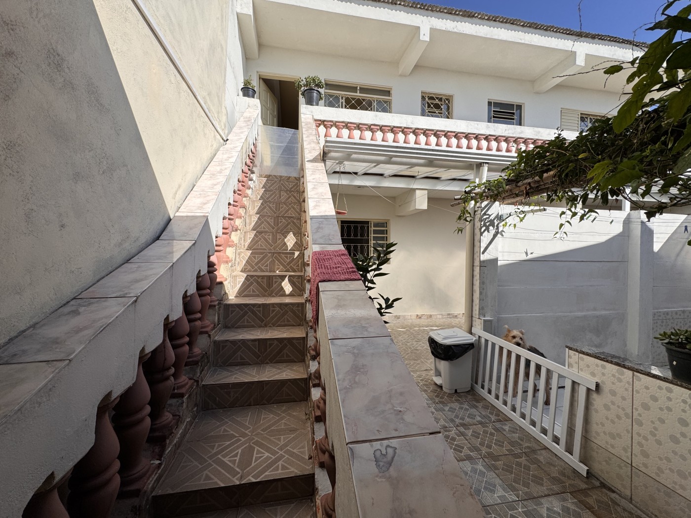 Casa, 4 quartos, 250 m² - Foto 9